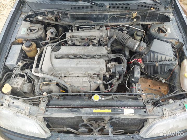 Разбор Nissan Primera P11