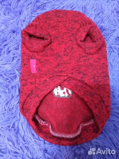 Одежда для котят