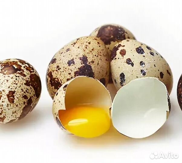 Яйца перепелиные