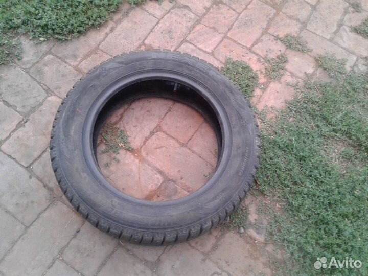 Nexen Winspike 195/60 R16