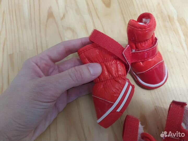 Ботинки и носочки для собак