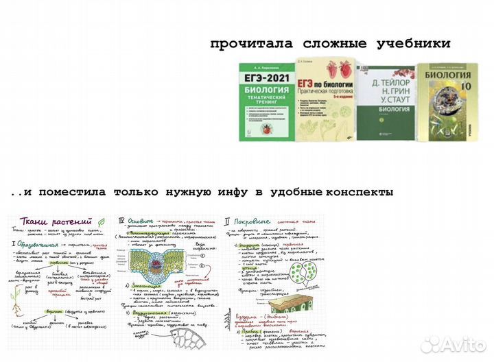 Репетитор по биологии ОГЭ/ЕГЭ