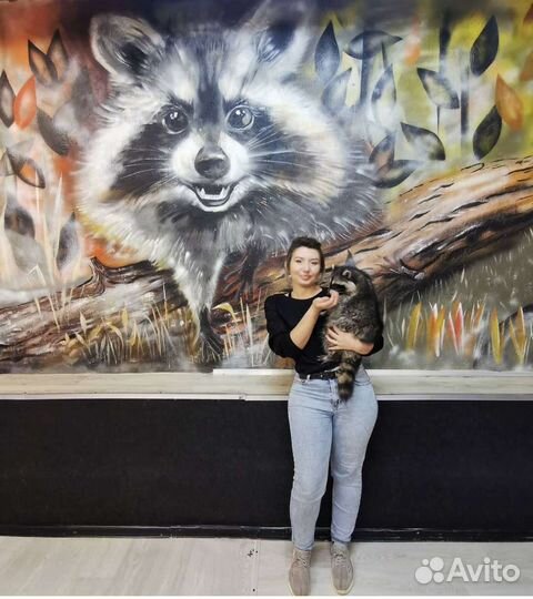 Граффити, роспись стен