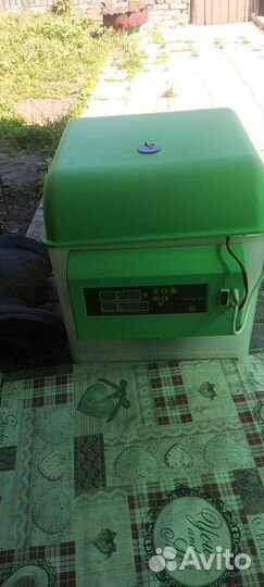 Спектр 84 инкубатор