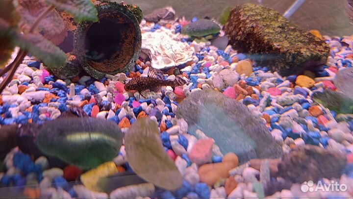 Аквариум 100литров