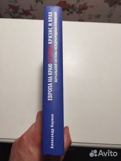 «Европа на краю бездны» Андрей Наумов