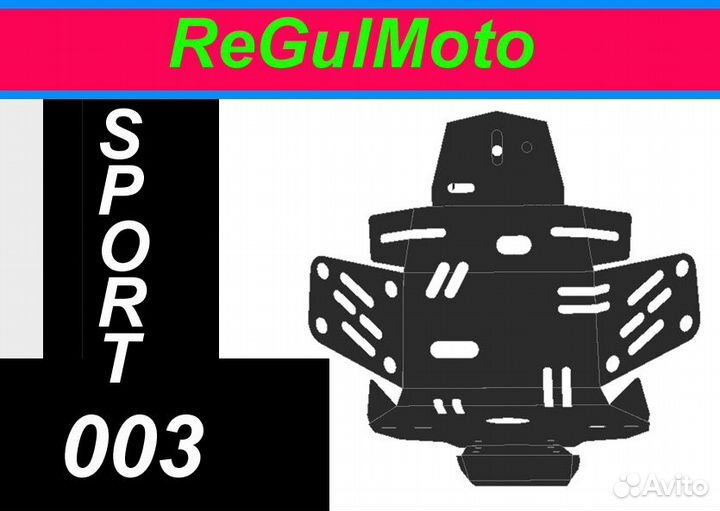 Защита двс Картера ReGulMoto Sport 003 250