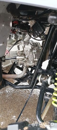 Wild 125