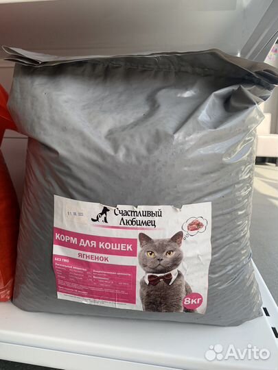 Корм для собак и кошек
