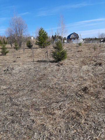 Участок 21 сот. (СНТ, ДНП)