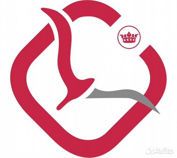 Оператор 1с