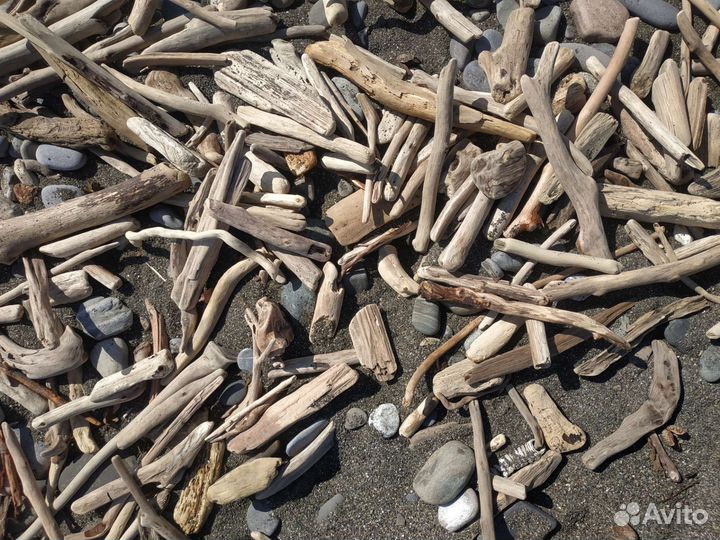 Морские коряги Дрифтвуд для аквариума террариума