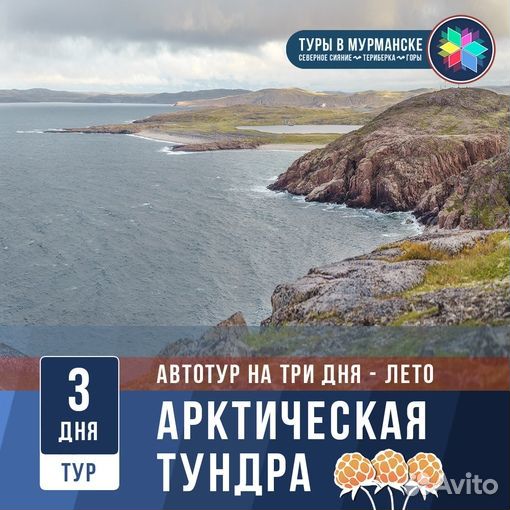 Автотур на 3 дня: Арктическая Тундра. Лето