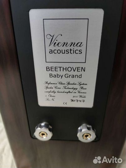 Стерео Vienna Acoustic, двойка Densen, Gizmo