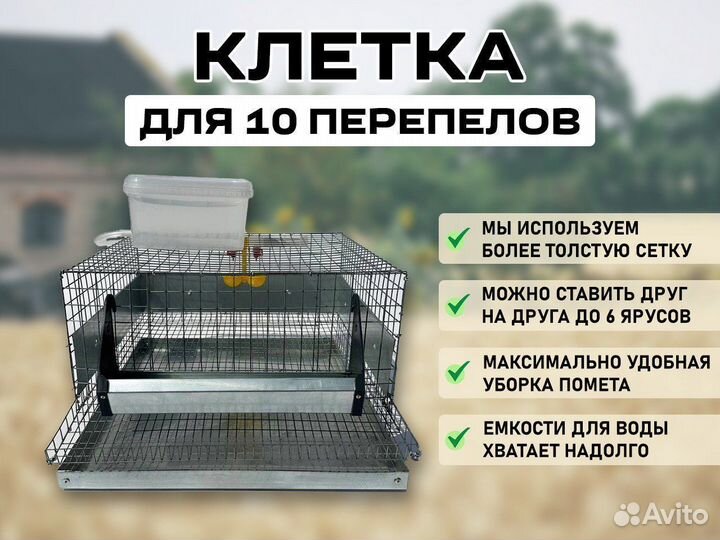 Клетки для перепелов