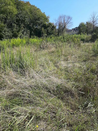 Участок 6 сот. (ИЖС)