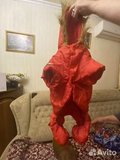 Комбинезон для собаки