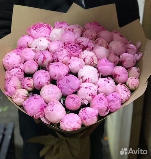 Пионы Букеты Цветы