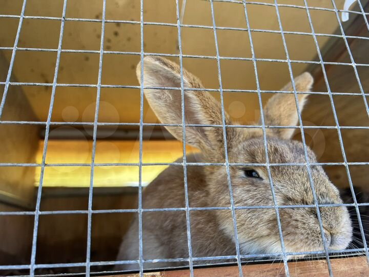 Квартира-студия, 26 м², 4/10 эт.