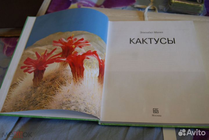 Манке.Кактусы,Горбачева.Бонсай,Украсим дом цветами