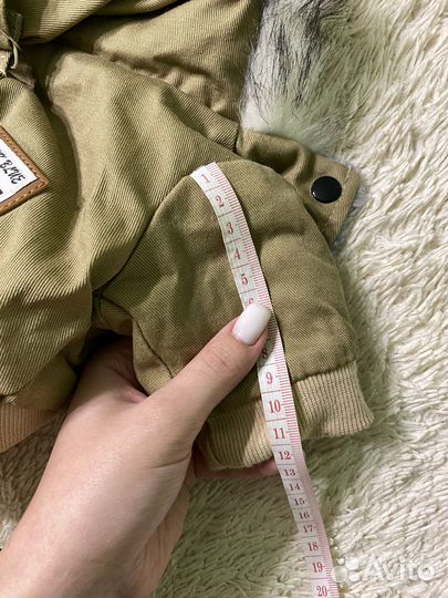 Одежда для собак