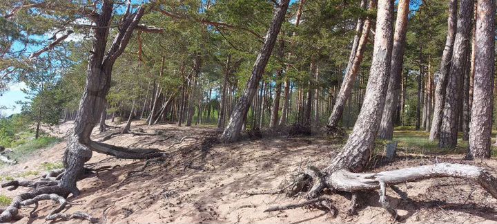 Участок 30,5 га (СНТ, ДНП)