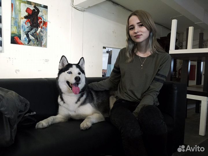 Дрессировка и воспитание собак