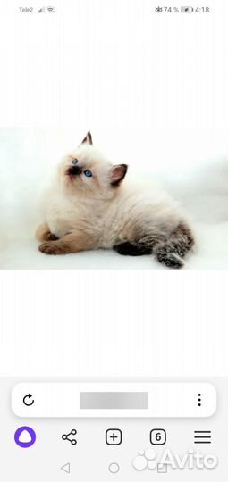 Невская маскарадная