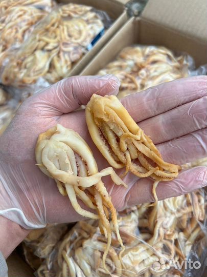 Щупальца кальмара гк