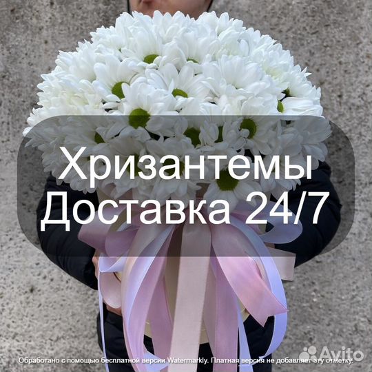 Цветы Хризантемы Купить Москва мо