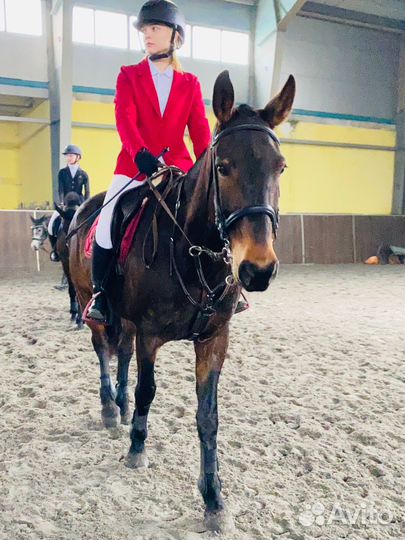 Редингот красный