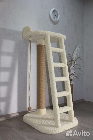 Когтеточка