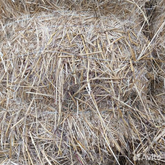 Сено в рулонах