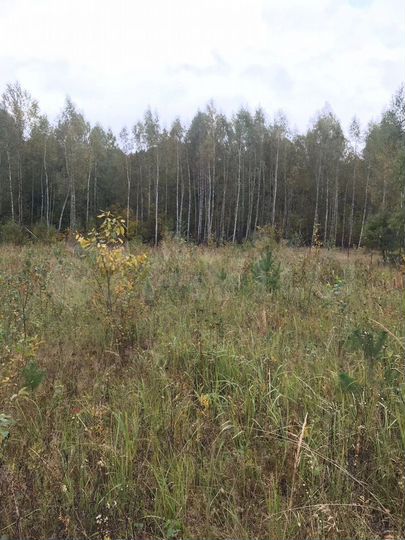 Участок 15 сот. (ИЖС)