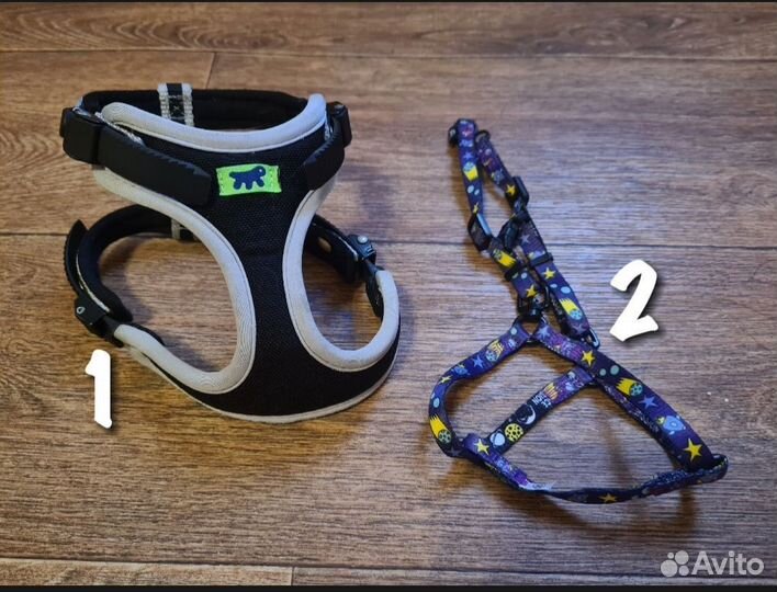 Амуниция для собак