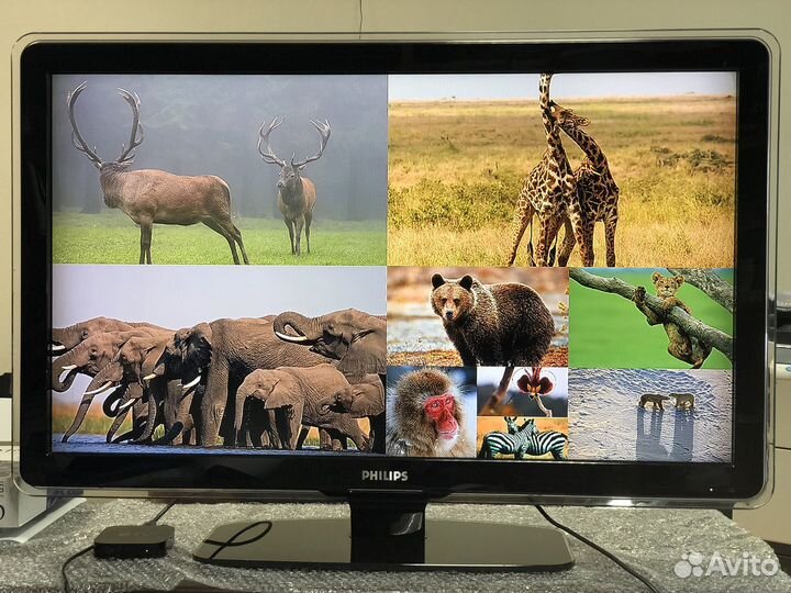 Телевизор philips 42