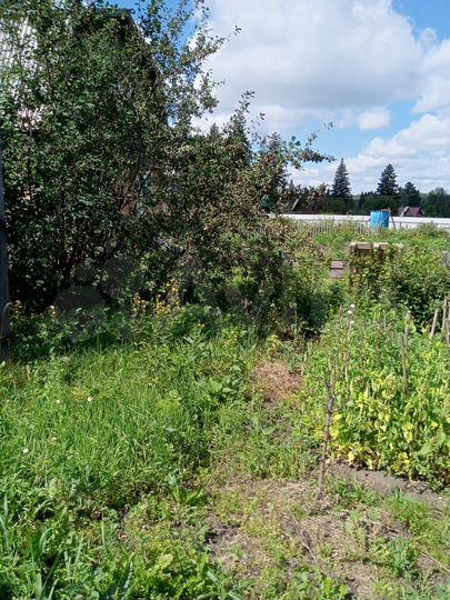 Дача 60 м² на участке 9 сот.