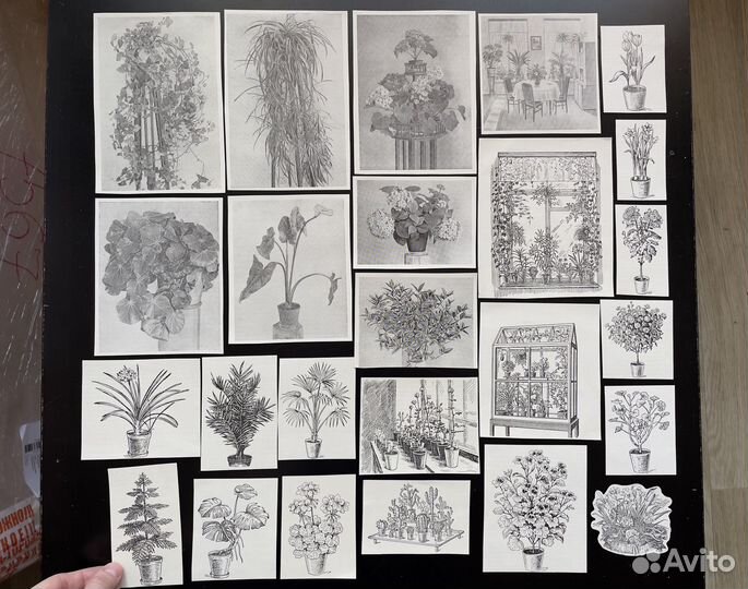 Картинки рисунки иллюстрации