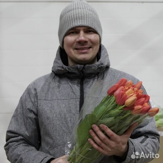 Тюльпаны оптом март 2025