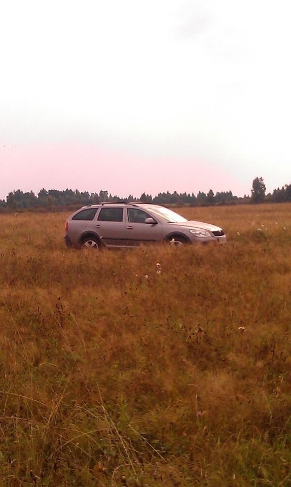 Skoda Octavia: фото владельца