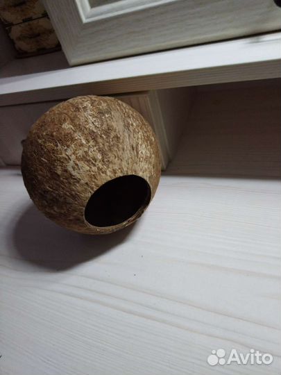 Гнездо для птиц