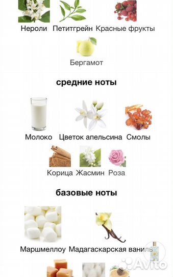 Memo Sintra Распив Оригинал