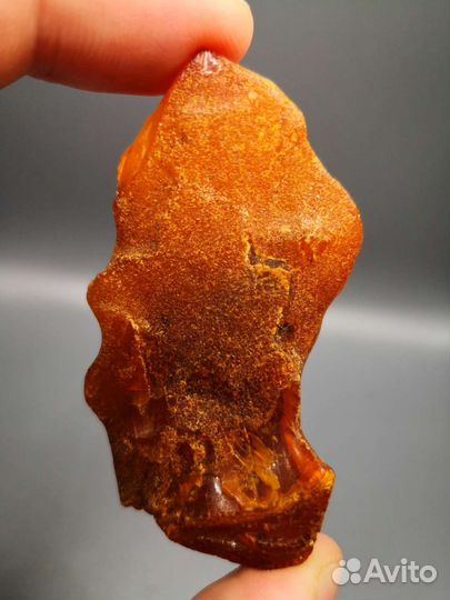 Янтарь балтийский, самородок