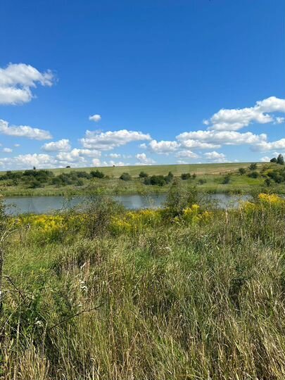 Участок 7,8 га (СНТ, ДНП)