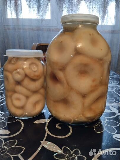 Солёные грузди