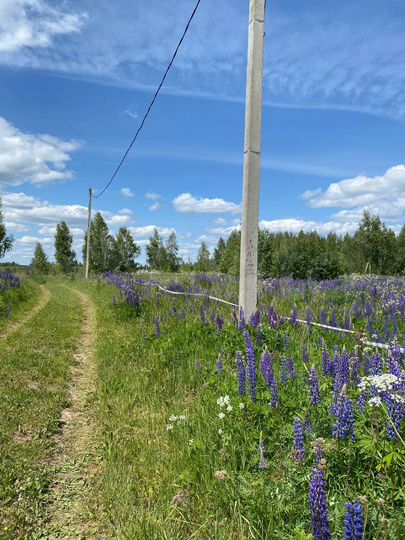 Участок 20 сот. (ИЖС)