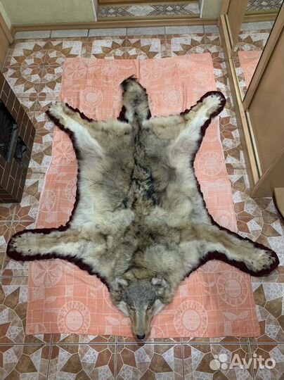 Волчья шкура