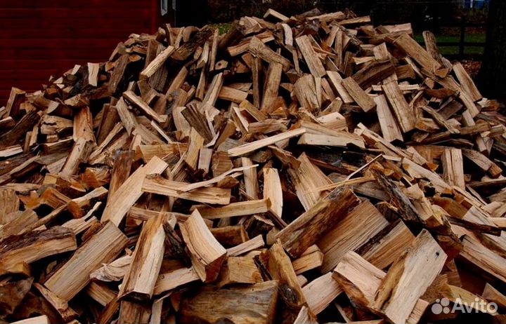 Дрова без грибка