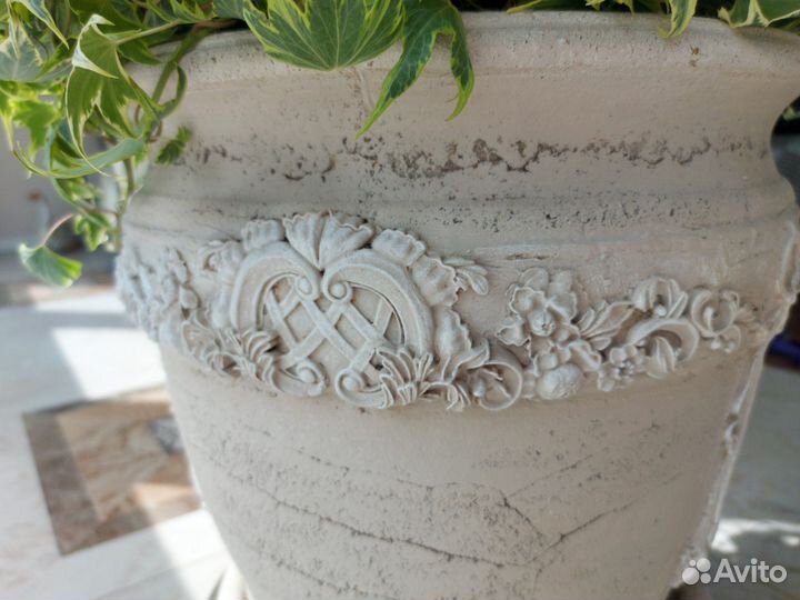 Фикус бенджамина большой