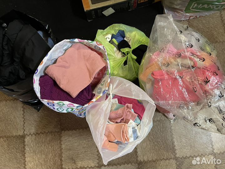 Отдам бесплатно